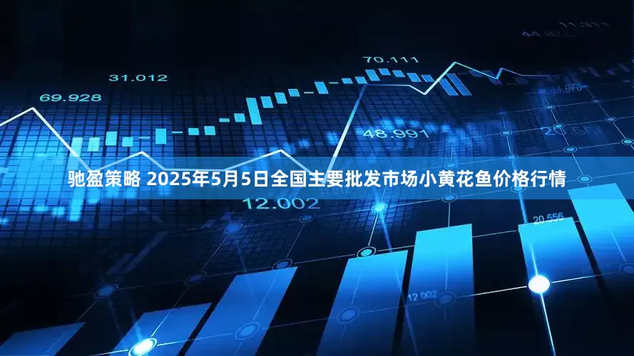 驰盈策略 2025年5月5日全国主要批发市场小黄花鱼价格行情