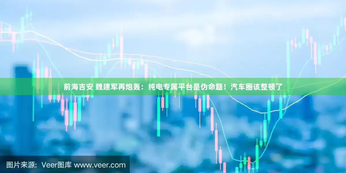 前海吉安 魏建军再炮轰：纯电专属平台是伪命题！汽车圈该整顿了